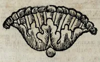 An illustration from Roma sacra, antica, e moderna : figurata e diuisa in tre parti, nella prima delle quali si contengono tutte le chiese, reliquie, stationi, indulgenze, ospedali, monasteri, compagnie, collegij seminari, pitture, e scolture, con la vita de' fondatori, e nomi degl' artefici : nella seconda si contiene la genealogia di Romolo, la serie de i rè, consoli e imperatori, teatri, anfiteatri, naumachie, cerchij, fori, curie, palazzi, & altre antichità : nella terza si contiene la descrittione dello stato presente secondo l'ordine di quattordici rioni, con le loro strade, piazze, fontane ... medaglie di tutti i pontefici delineate dal famoso Tempesta, e nomi dell' imperatori, rè, e duchi : cauate da Tito Liuio ... & altri graui autori : con tauola copiosa, & aggionta di tutte le cose notabili (1687)