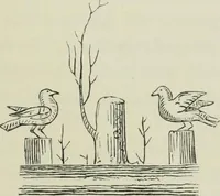 An illustration from Roma Sotterranea; or, Some account of the Roman catacombs especially of the cemetery of San Callisto, compiled from the works of Commendatore de Rossi with the consent of the author (1869)