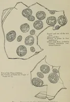 Picture 18 of 33 from Roma sotterranea : or some account of the Roman catacombs, especially of the cemetery of San Callisto (1869), leaf 320