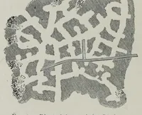 An illustration from Roma sotterranea : or some account of the Roman catacombs, especially of the cemetery of San Callisto (1869)