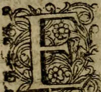 Picture 50 of 94 from Roma subterranea novissima : in qua antiqua christianorum et praecipue martyrum, coemeteria, tituli, monimenta, epitaphia, inscriptiones, ac nobiliora sanctorum sepulchra, tribus libris distincta, fideli enarratione pariter ac graphicis iconibus, ceu gemina face illustrantur : plurimaeque inde res ecclesiasticae declarantur (1671), leaf 429