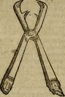 An illustration from Roma subterranea novissima : in qua antiqua christianorum et praecipue martyrum, coemeteria, tituli, monimenta, epitaphia, inscriptiones, ac nobiliora sanctorum sepulchra, tribus libris distincta, fideli enarratione pariter ac graphicis iconibus, ceu gemina face illustrantur : plurimaeque inde res ecclesiasticae declarantur (1671)