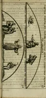 Picture 68 of 94 from Roma subterranea novissima : in qua antiqua christianorum et praecipue martyrum, coemeteria, tituli, monimenta, epitaphia, inscriptiones, ac nobiliora sanctorum sepulchra, tribus libris distincta, fideli enarratione pariter ac graphicis iconibus, ceu gemina face illustrantur : plurimaeque inde res ecclesiasticae declarantur (1671), leaf 586