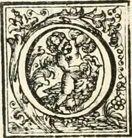 An illustration from Roma, tutrice delle belle arti, pittura, scultura, e architettura : mostrata nel Campidoglio dall'Accademia del disegno il dì 2. ottobre 1710 : essendo principe della medesima il signor cavalier Carlo Maratti (1710)