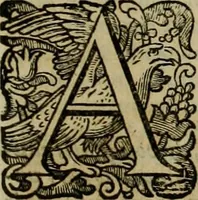 An illustration from Roma vetus ac recens vtriusque aedificiis ad eruditam cognitionem expositis (1639)