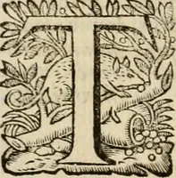 Picture 33 of 90 from Roma vetus ac recens vtriusque aedificiis ad eruditam cognitionem expositis (1639), leaf 107
