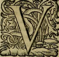 An illustration from Roma vetus ac recens vtriusque aedificiis ad eruditam cognitionem expositis (1639)