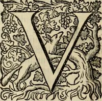 An illustration from Roma vetus ac recens vtriusque aedificiis ad eruditam cognitionem expositis (1639)