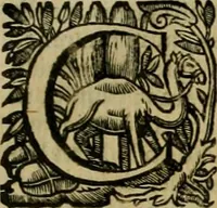 An illustration from Roma vetus ac recens vtriusque aedificiis ad eruditam cognitionem expositis (1639)
