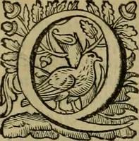 An illustration from Roma vetus ac recens vtriusque aedificiis ad eruditam cognitionem expositis (1639)