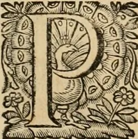 Picture 44 of 90 from Roma vetus ac recens vtriusque aedificiis ad eruditam cognitionem expositis (1639), leaf 159
