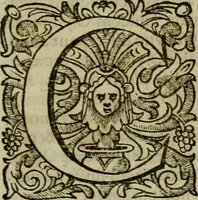 An illustration from Roma vetus ac recens vtriusque aedificiis ad eruditam cognitionem expositis (1639)