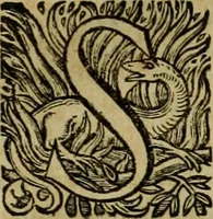An illustration from Roma vetus ac recens vtriusque aedificiis ad eruditam cognitionem expositis (1639)