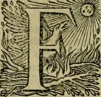 Picture 52 of 90 from Roma vetus ac recens vtriusque aedificiis ad eruditam cognitionem expositis (1639), leaf 188