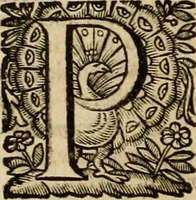 Picture 54 of 90 from Roma vetus ac recens vtriusque aedificiis ad eruditam cognitionem expositis (1639), leaf 193