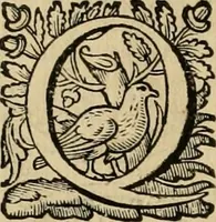 An illustration from Roma vetus ac recens vtriusque aedificiis ad eruditam cognitionem expositis (1639)