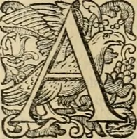 An illustration from Roma vetus ac recens vtriusque aedificiis ad eruditam cognitionem expositis (1639)