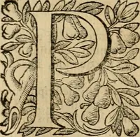 An illustration from Roma vetus ac recens vtriusque aedificiis ad eruditam cognitionem expositis (1639)