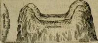 Picture 7 of 90 from Roma vetus ac recens vtriusque aedificiis ad eruditam cognitionem expositis (1639), leaf 22