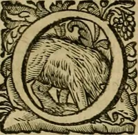 An illustration from Roma vetus ac recens vtriusque aedificiis ad eruditam cognitionem expositis (1639)