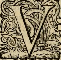 Picture 65 of 90 from Roma vetus ac recens vtriusque aedificiis ad eruditam cognitionem expositis (1639), leaf 245