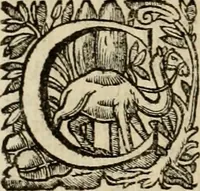 An illustration from Roma vetus ac recens vtriusque aedificiis ad eruditam cognitionem expositis (1639)