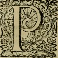 Picture 68 of 90 from Roma vetus ac recens vtriusque aedificiis ad eruditam cognitionem expositis (1639), leaf 266