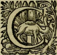 An illustration from Roma vetus ac recens vtriusque aedificiis ad eruditam cognitionem expositis (1639)
