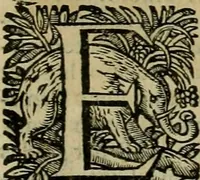 Picture 70 of 90 from Roma vetus ac recens vtriusque aedificiis ad eruditam cognitionem expositis (1639), leaf 294