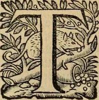 Picture 75 of 90 from Roma vetus ac recens vtriusque aedificiis ad eruditam cognitionem expositis (1639), leaf 321