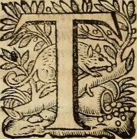 Picture 76 of 90 from Roma vetus ac recens vtriusque aedificiis ad eruditam cognitionem expositis (1639), leaf 327