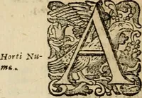 An illustration from Roma vetus ac recens vtriusque aedificiis ad eruditam cognitionem expositis (1639)