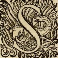 Picture 82 of 90 from Roma vetus ac recens vtriusque aedificiis ad eruditam cognitionem expositis (1639), leaf 361