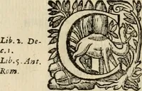 An illustration from Roma vetus ac recens vtriusque aedificiis ad eruditam cognitionem expositis (1639)