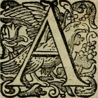 An illustration from Roma vetus ac recens vtriusque aedificiis ad eruditam cognitionem expositis (1639)