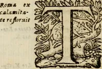 Picture 87 of 90 from Roma vetus ac recens vtriusque aedificiis ad eruditam cognitionem expositis (1639), leaf 397