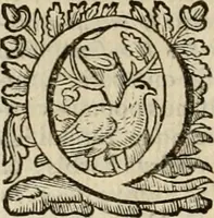 An illustration from Roma vetus ac recens vtriusque aedificiis ad eruditam cognitionem expositis (1639)