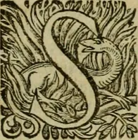 An illustration from Roma vetus ac recens vtriusque aedificiis ad eruditam cognitionem expositis (1639)