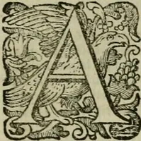 An illustration from Roma vetus ac recens vtriusque aedificiis ad eruditam cognitionem expositis (1639)