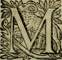 An illustration from Roma vetus ac recens vtriusque aedificiis ad eruditam cognitionem expositis (1639)