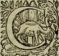 Picture 21 of 90 from Roma vetus ac recens vtriusque aedificiis ad eruditam cognitionem expositis (1639), leaf 56