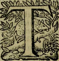 An illustration from Roma vetus ac recens vtriusque aedificiis ad eruditam cognitionem expositis (1639)