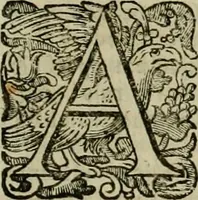 An illustration from Roma vetus ac recens vtriusque aedificiis ad eruditam cognitionem expositis (1639)