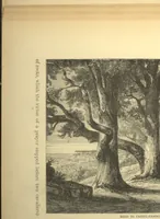 An illustration from Rome (1887)