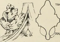 Picture 210 of 299 from Roodscreens and roodlofts (1909), leaf 237