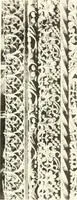 Picture 195 of 266 from Roodscreens and roodlofts (1909), leaf 238