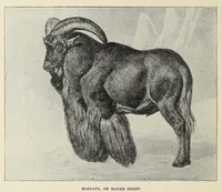 An illustration from Roosevelt in Africa : graphic account of the world's most renowned hunter in the wilds of Africa, his unerring aim and wonderful ability as a hunter, encounters with lions, tigers, elephants and other wild beasts of the jungle : containing also a complete history and study of wild animals of the world, their appearance, habits, traits of character and every detail of their wild life, with thrilling and exciting experiences of hunters of big game in all parts of the globe, including mortal combats between ferocious wild animals, dangerous and daring exploits, and hair-breadth escapes (1909)