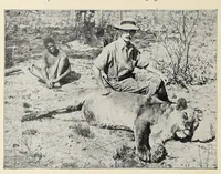 An illustration from Roosevelt in Africa : graphic account of the world's most renowned hunter in the wilds of Africa, his unerring aim and wonderful ability as a hunter, encounters with lions, tigers, elephants and other wild beasts of the jungle : containing also a complete history and study of wild animals of the world, their appearance, habits, traits of character and every detail of their wild life, with thrilling and exciting experiences of hunters of big game in all parts of the globe, including mortal combats between ferocious wild animals, dangerous and daring exploits, and hair-breadth escapes (1909)