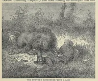 Picture 10 of 16 from Roosevelt's African trip : the story of his life, the voyage from New York to Mombasa, and the route through the heart of Africa, including the big game and other ferocious animals, strange peoples and countries found in the course of his travels (1909), leaf 253