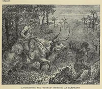 Picture 15 of 16 from Roosevelt's African trip : the story of his life, the voyage from New York to Mombasa, and the route through the heart of Africa, including the big game and other ferocious animals, strange peoples and countries found in the course of his travels (1909), leaf 355